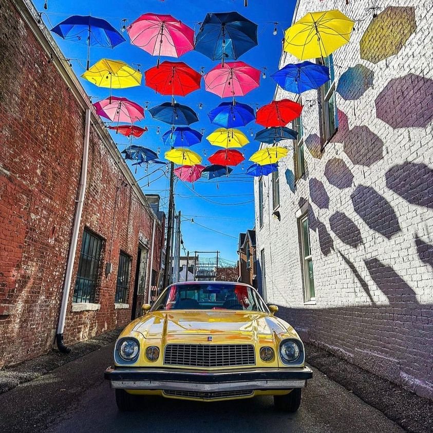 visitfrankfort's tweet photo. You can stand under my umbrella ☂️
Happy Monday, Frankfort!
#visitfrankfort #superbowl #rihanna #kydistilled #kytourism
📸: georgia_the_explorer_ky on Instagram https://t.co/pOQ8asUr3d