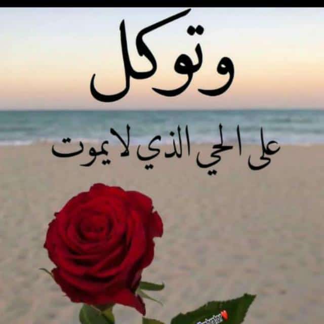 الطريق الى الجنه (@maysonahmed123) on Twitter photo 