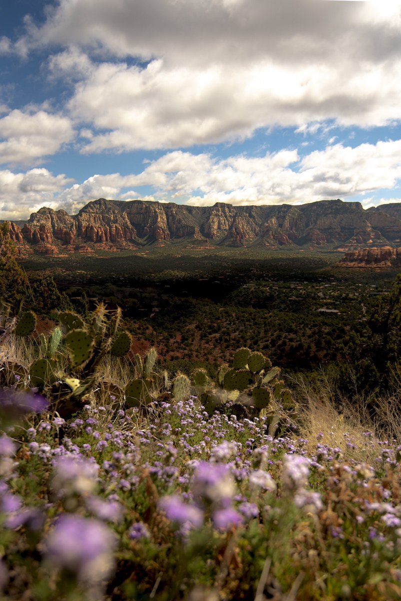 matalyncaptured's tweet photo. Sedona, AZ 🌀 https://t.co/KCXQ7aGyao