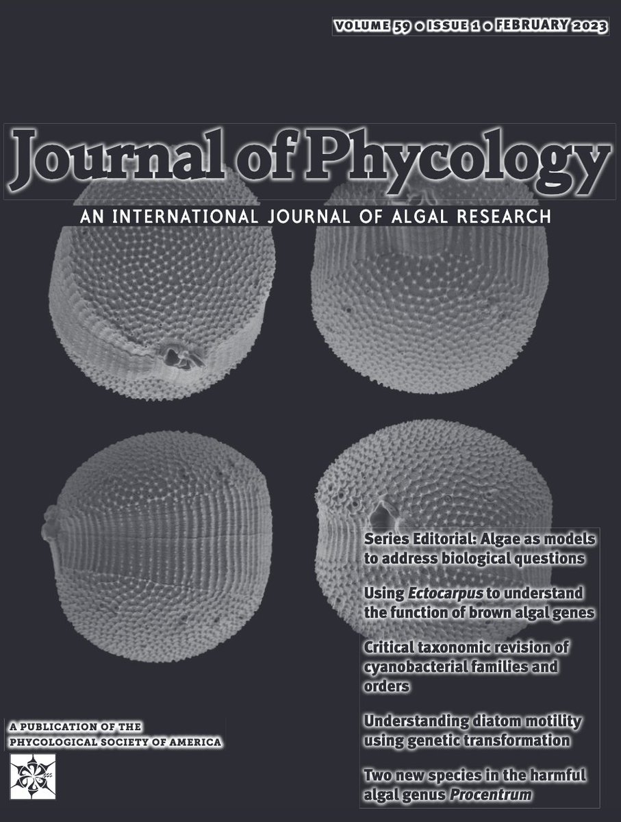 Thomas Mock (@th_mock) on Twitter photo My editorial is kicking off a new series of perspective papers <a href="/JPhycology/">Journal of Phycology</a> to provide insights into the latest developments of algal models for addressing fundamental questions in #biology. We will have ca. 2 papers per issue in volume 59 (2023).
onlinelibrary.wiley.com/doi/10.1111/jp… My editorial is kicking off a new series of perspective papers <a href="/JPhycology/">Journal of Phycology</a> to provide insights into the latest developments of algal models for addressing fundamental questions in #biology. We will have ca. 2 papers per issue in volume 59 (2023).
onlinelibrary.wiley.com/doi/10.1111/jp…