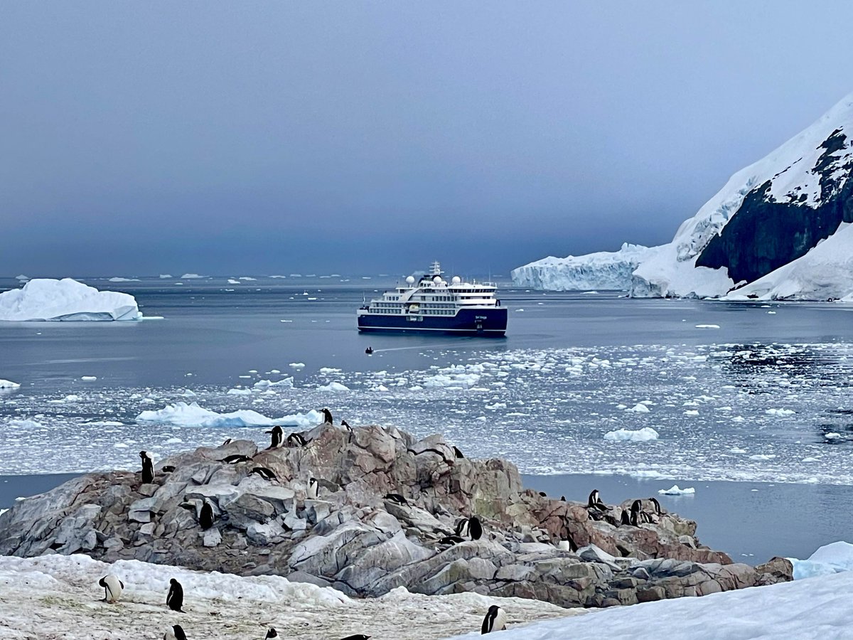 Antarctica. What an unforgettable experience. Read all about <a href="/swanhellenic/">Swan Hellenic</a> SH Vega, the ship I sailed on, in my review for <a href="/CruiseCriticUK/">Cruise Critic UK</a> #Antarctica  
cruisecritic.co.uk/news/7263/