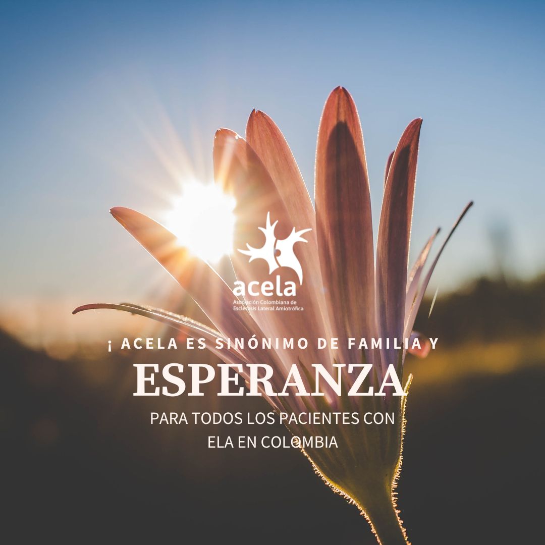 ColombiaELA's tweet photo. En ACELA tenemos el trabajo de acompañar a muchos pacientes con ELA , pero también, creamos redes internacionales con nuestros voluntarios para que cada día esta enfermedad tenga una luz de esperanza. Visitános https://t.co/pGgWYy72Bt #acela #esclerosislateralamiotrofica #ela https://t.co/K0Cbq4PGSz
