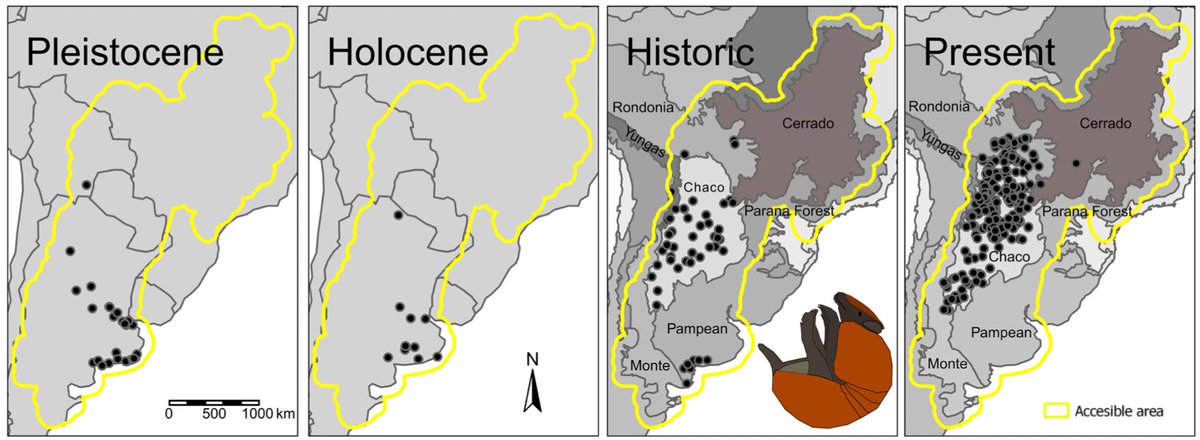 Darin Croft tweet media