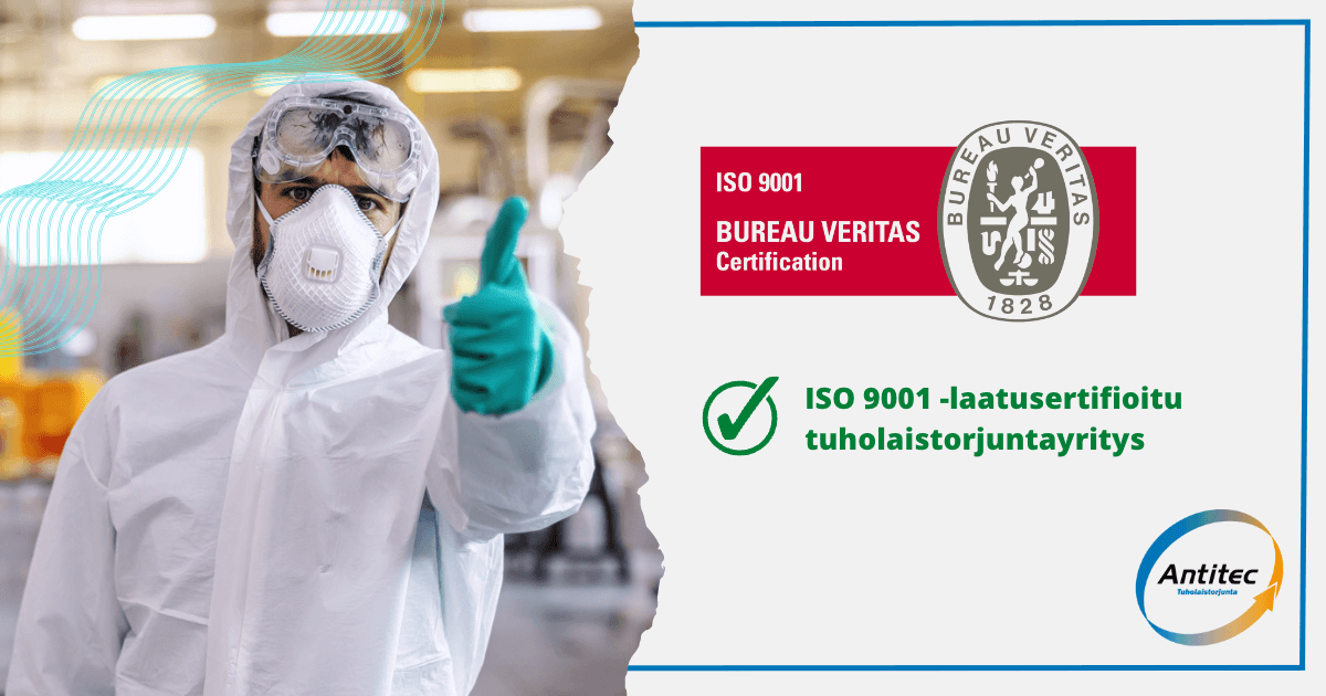 AntitecOy's tweet image. 🥳 #ISO9001 - laatusertifiointi saavutettu! ✨ Tämä on hieno saavutus koko henkilöstöllemme. Laadukkaan tekemisen ja johtamisen menetelmät kehittyvät kokoajan; joten niin kehitymme mekin. 👍🏻 Tervetuloa palvelujemme äärelle; antitec.fi #tuholaistorjunta