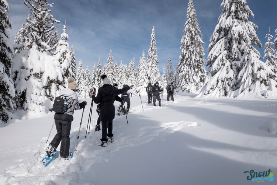 Kop_online's tweet photo. Hodanje na krpljama u ski centru Kopaonik  - Snowshoeing 
https://t.co/LFtBu77oY8 https://t.co/S7EbehASo7