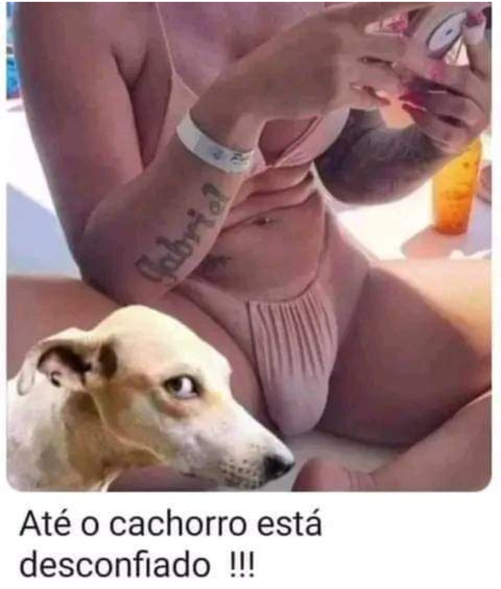 É, temos que nos acostumar a ver essas imagens, não tem como "desver" kkk

Saporra encheu de areia ou é....(?)