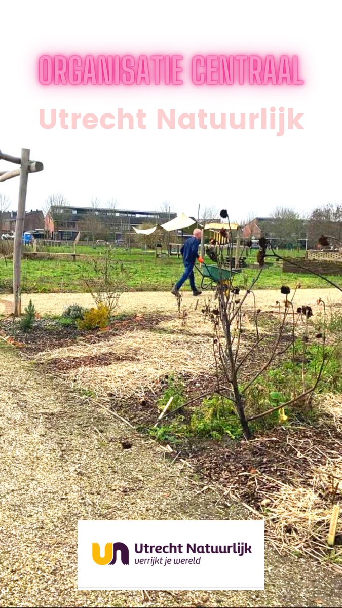 ORGANISATIE CENTRAAL: UTRECHT NATUURLIJK 🌿🌳

Tuinieren kan het hele jaar rond. Stap de frisse buitenlucht in, steek je handen uit de mouwen en word een echte tuinder.

Bij Utrecht Natuurlijk kun je tuinieren op 11 verschillende stadstuinen. 

Lees meer: vcutrecht.nl/vrijwilligersw…