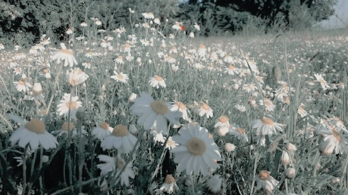 transicnt's tweet image. 