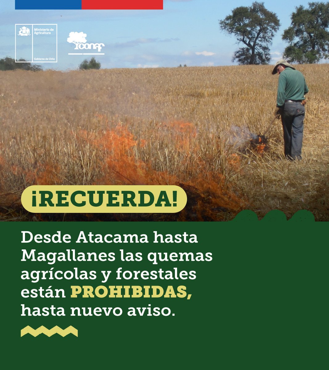CONAF - Corporación Nacional Forestal tweet media