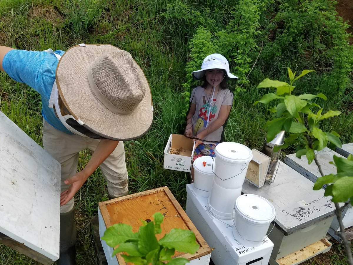 knowyourbees's tweet photo. Last Saturday was #InternationalDayofWomenandGirlsinScience! Women conserve biodiversity and address the challenges faced by our planet's ecosystems. From conducting field research to developing innovative technologies and solutions, they protect and preserve the natural world.💚 https://t.co/s2Yh8mDQrz