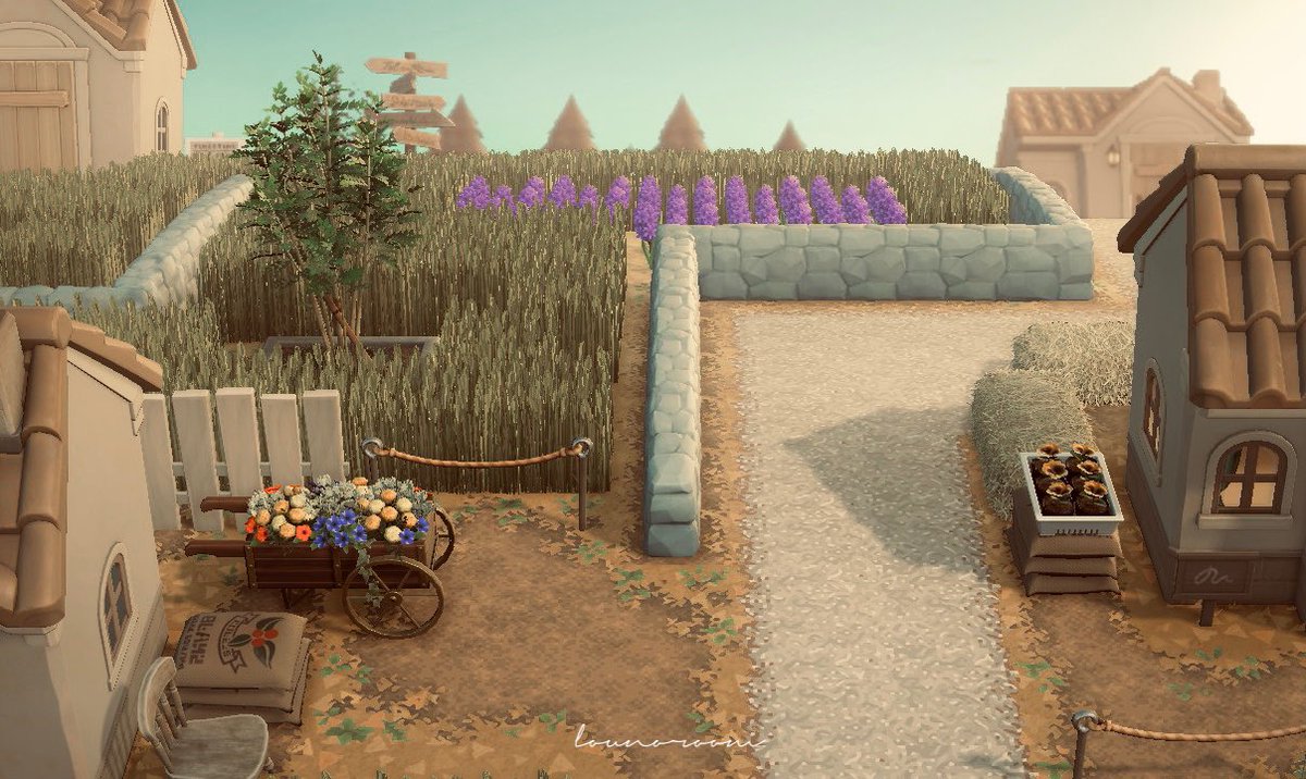 🌾
.
.

#AnimalCrossing #ACNH #あつ森