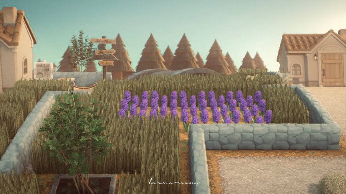lounoroom's tweet photo. 🌾
.
.

#AnimalCrossing #ACNH #あつ森 https://t.co/ruyEgo6uUy