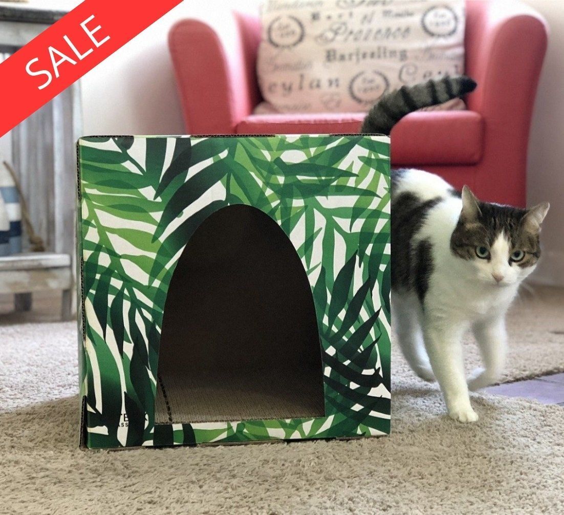 catorcatcom's tweet image. 10% Off Kitty Jungle Cardboard Cat House with Scratcher

bit.ly/3fgTCRM