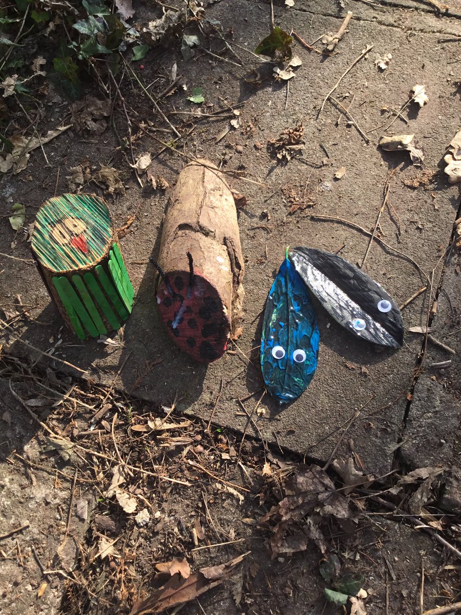 Our outdoor learning trail🍂
Alder, Hazel and Sycamore Class
<a href="/MillbrookP/">Millbrook Primary</a>