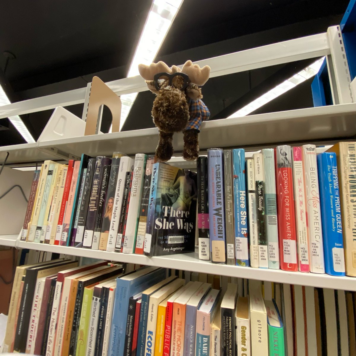 GburgColLibrary's tweet photo. The Moose is back at it! Having trouble locating him (or a book you need) in the stacks? Drop by the Research Help Desk to ask a friendly librarian for help! And when you find the moose, don’t forget to take a selfie with him and show it at the Check Out Desk to get a treat! https://t.co/0h3QsjHfCi