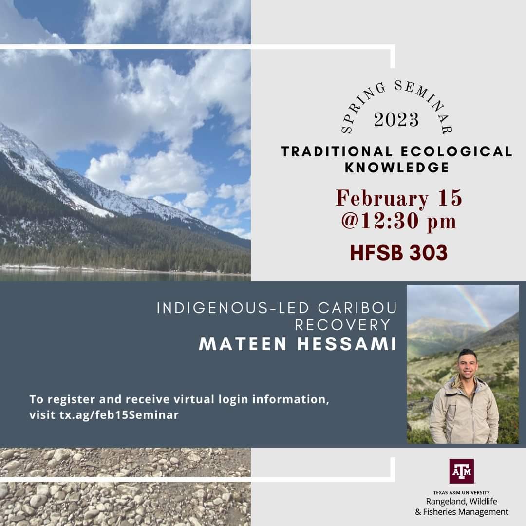 TyWerdel's tweet photo. Join @TAMU Wed, 2/15, as we welcome Mateen Hessami. @mateens22, a Wyandotte Nation citizen, will highlight how various Indigenous communities in Canada are leading efforts to recover caribou. Free registration is required for virtual attendance: https://t.co/YpVVvRIypl
#TEK #RWFM https://t.co/NCXSn6eBJh