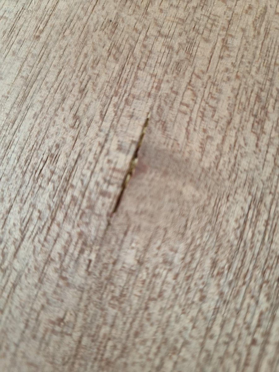 carpenterpaul's tweet photo. @pmmendesdoors How about ripping off customers that legitimately return items that are undamaged and send pictures micro pictures to get out of refunding ! https://t.co/770xZmp3Xx