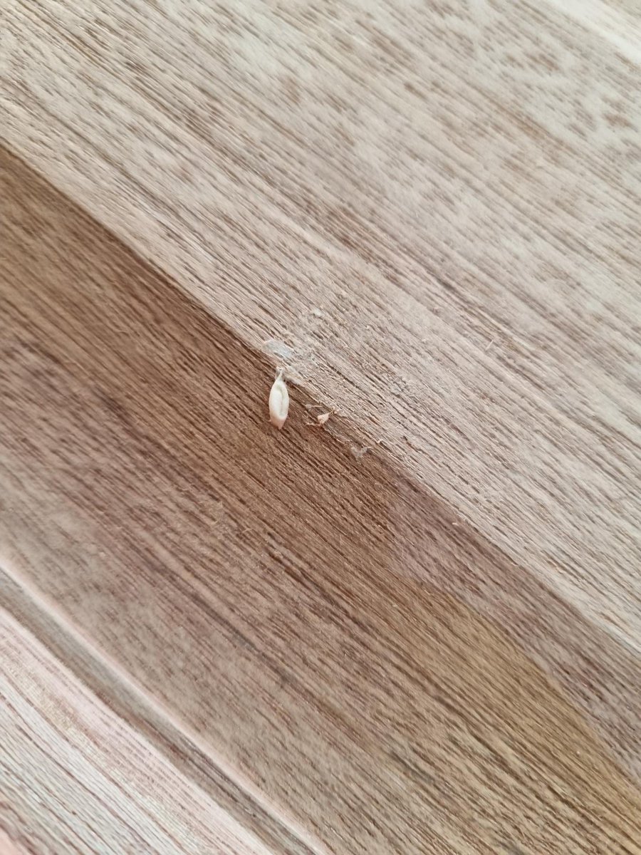 carpenterpaul's tweet photo. @pmmendesdoors How about ripping off customers that legitimately return items that are undamaged and send pictures micro pictures to get out of refunding ! https://t.co/770xZmp3Xx