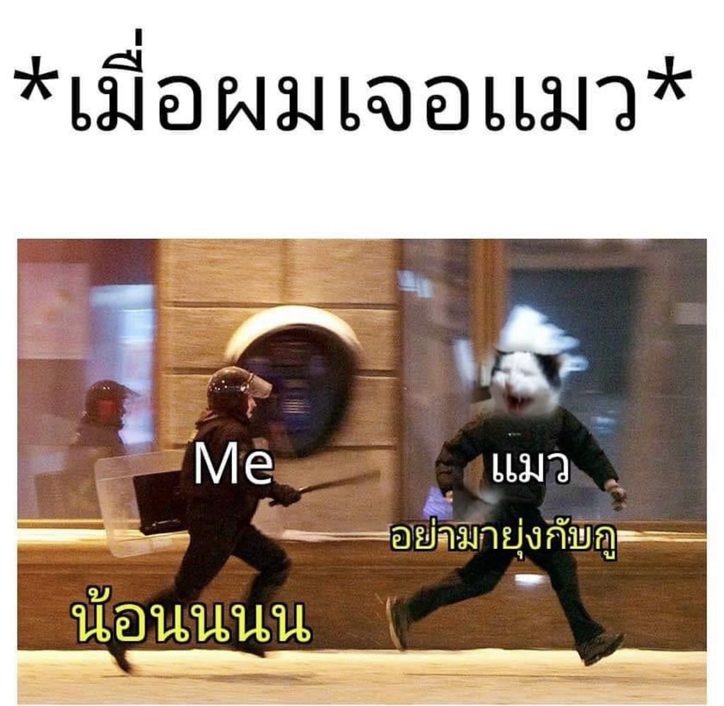 คนอยากเขียน. tweet media