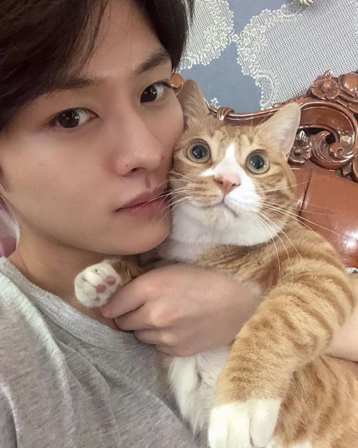 on-twitter-when-i-went-to-volunteer-i-saw-many-cats-and-i