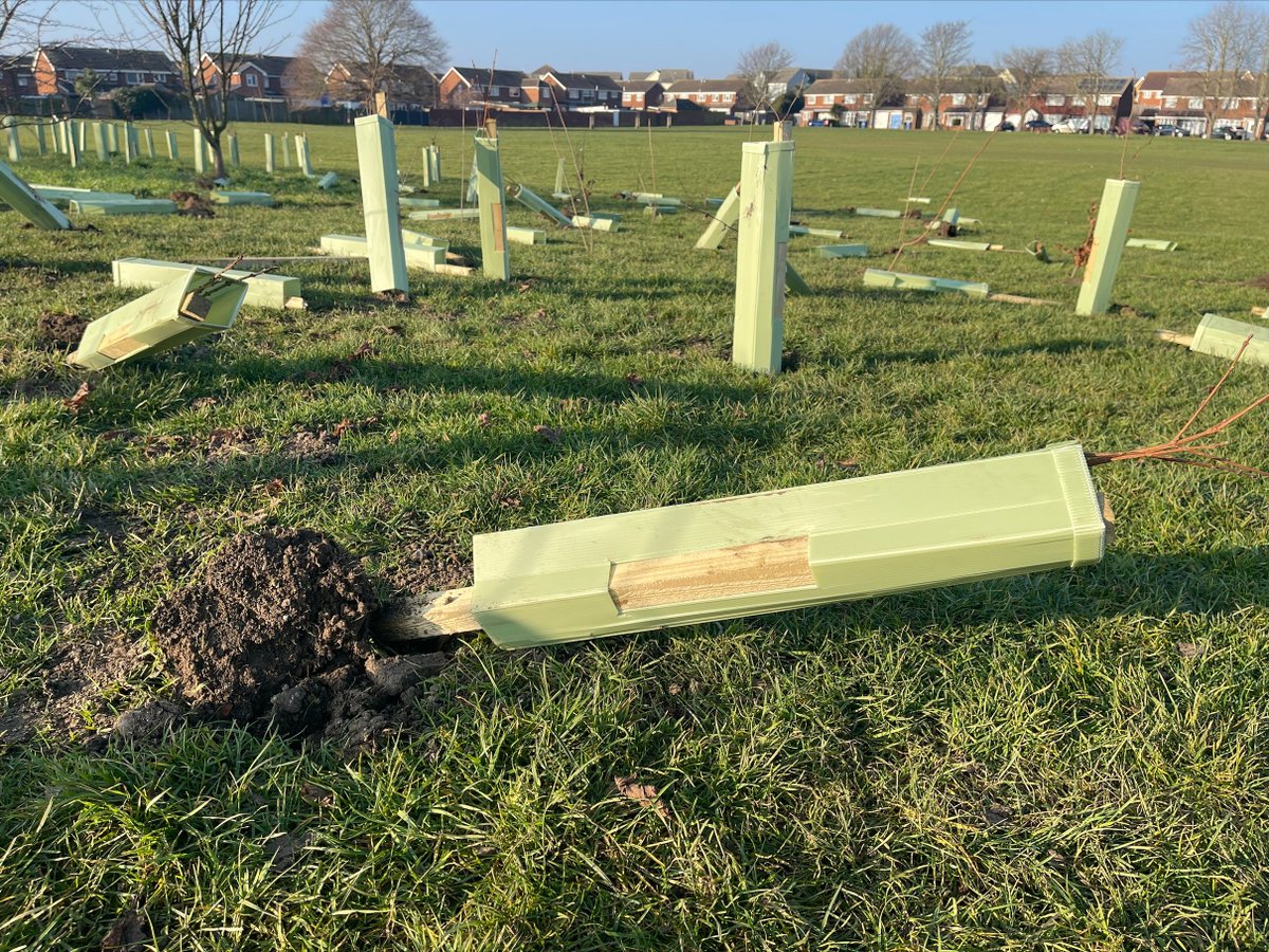 SwaleCouncil's tweet photo. The hard work and efforts at Milton Rec last week have been completely destroyed by thoughtless vandals😡
Volunteers helped plant these for the benefit of the environment &amp; local community, which these vandals clearly didn’t think or care about when they tore out about 60 trees https://t.co/QzBGMbr268