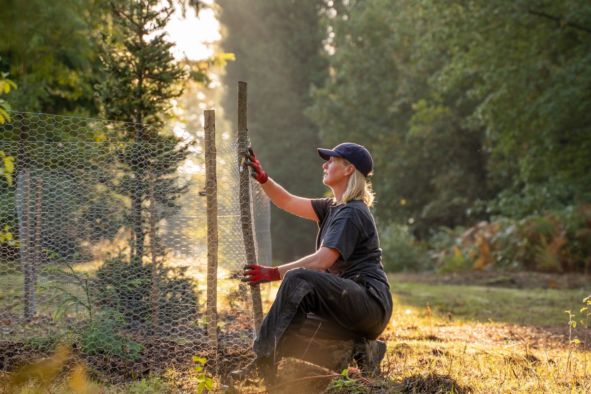 We’re championing #WomenInForestry and we want you to get involved in the celebrations. 
 
If you’re a woman working in the forestry sector you could be part of a photo mosaic that 
<a href="/PeoplesPicture/">the People's Picture</a>
 have been commissioned to create.

Submit your images👇 
thepeoplespicture.com/forestry-engla…
