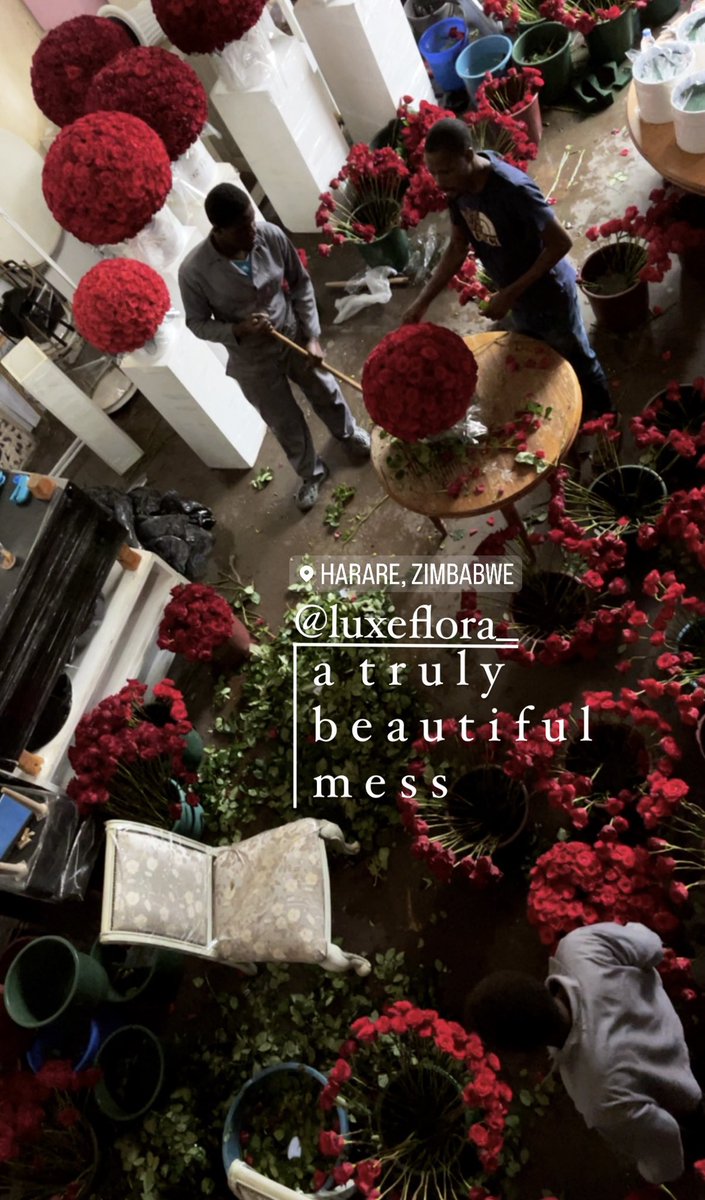 P R È P S ♥️🌹