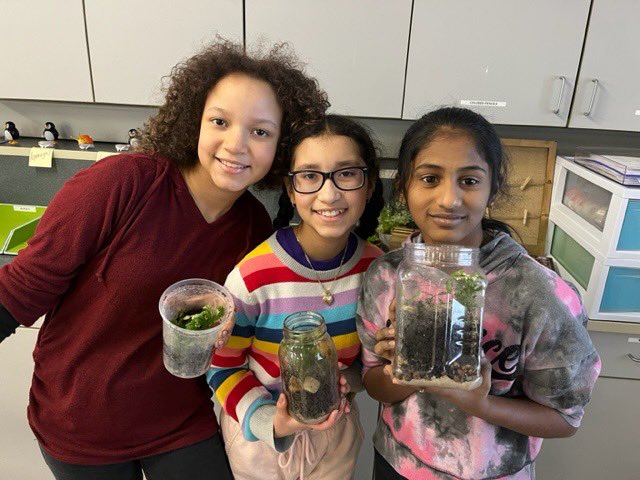 ccsd21london's tweet image. Our 6th grade science students are learning about natural systems by building terrariums. #sciencechat #21learns #bestriking