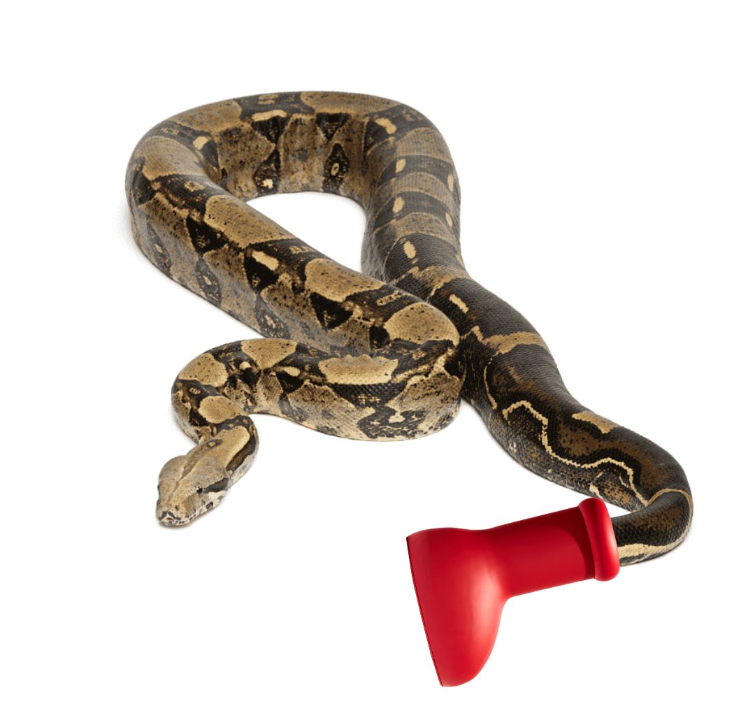 Amanda Day tweet media