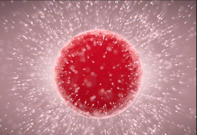 Freeze frame of last nights half time show!  Congrats #Rhianna #superbowl #superbowl2023 #SuperBowlLVII #HalfTimeShow #Halftimeshowreplay #rhiannahalftimeshow