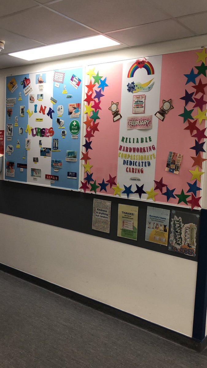 Beverley Brady tweet media