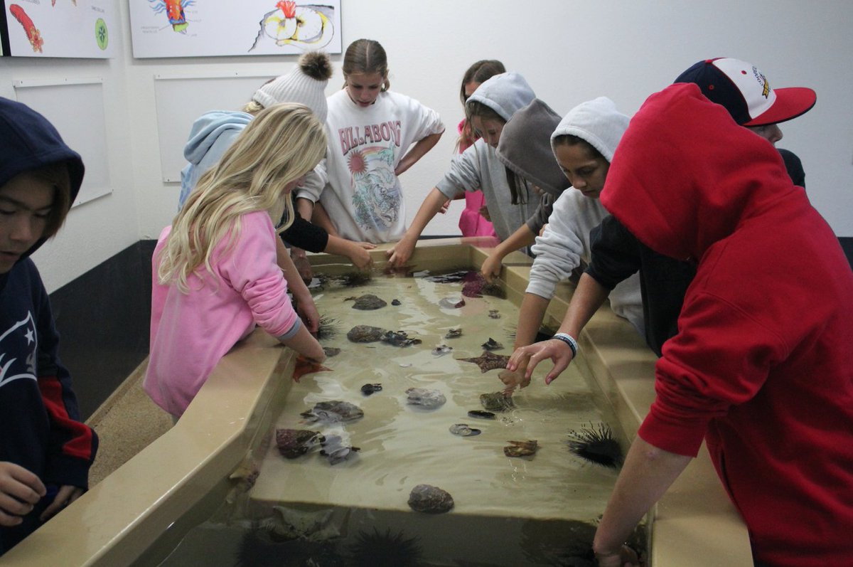 CIMI_Science's tweet photo. Happy Monday Friends!!!
Here are a couple photos of our instructor Hannah guiding students through our #invertebrate lab 🤓 Comment a 🦀 below if Invertebrate lab was your favorite lab. 😇
#OutdoorEd #MarineBiology #BatStar #SeaUrchin #CIMI https://t.co/1YI3Nzw3s2