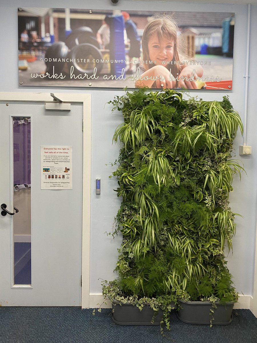 GCA_learning's tweet photo. When a very kind parent offers you all you need to create a living wall and you’re a passionate #ecoschool… @EcoSchools @RHSSchools #GCAeco #GCAcommunity #livingwall #green #nature https://t.co/n77Q0FH7qr