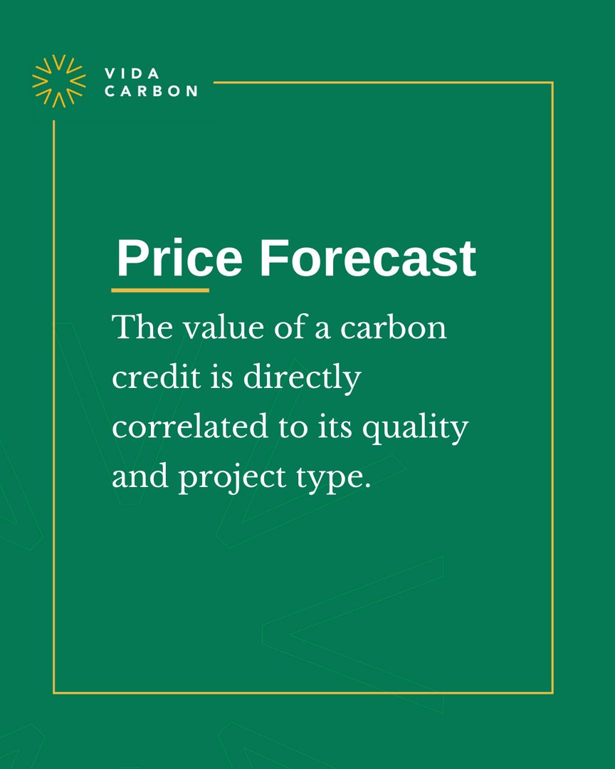 An accelerated market can be broken down into three categories:

📦  Supply
🫴 Demand
💵  Price forecast.

Learn more about #VidaCarbon's work in the accelerated market here: vidacarbon.com/carbon-markets/