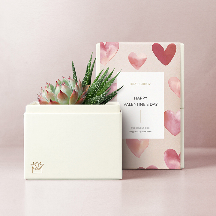 This is a sign! A sign to get your Valentine's Day gifts now before it's too late. 💝