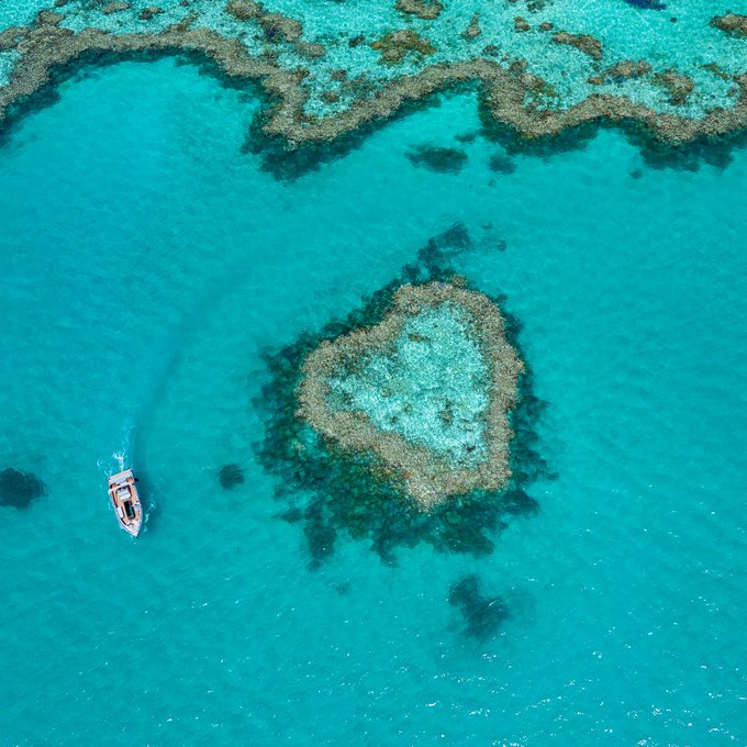 Will you be our Valentine? ❤️  We're sending a whole lotta love your way today (and every day) from the<a href="/tag/seeaustralia"class="tags"><span>#seeaustralia</span></a><a href="/tag/comeandsaygday"class="tags"><span>#comeandsaygday</span></a><a href="/tag/heartreef"class="tags"><span>#heartreef</span></a>