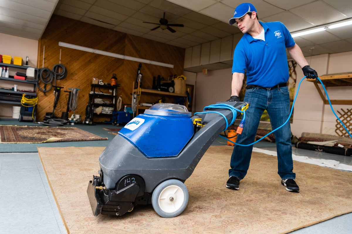 angeloscleaning's tweet image. Helping to make your home look new again, one rug at a time! #spotless #spotlessclean #deepclean #angeloscleaning #localbusiness