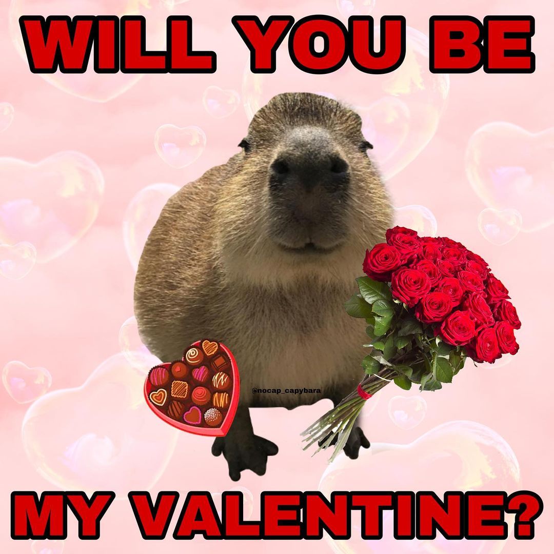 instagram's tweet photo. capybara got the rizz

https://t.co/2v8wLjg9Ta https://t.co/3FKp1DJysj