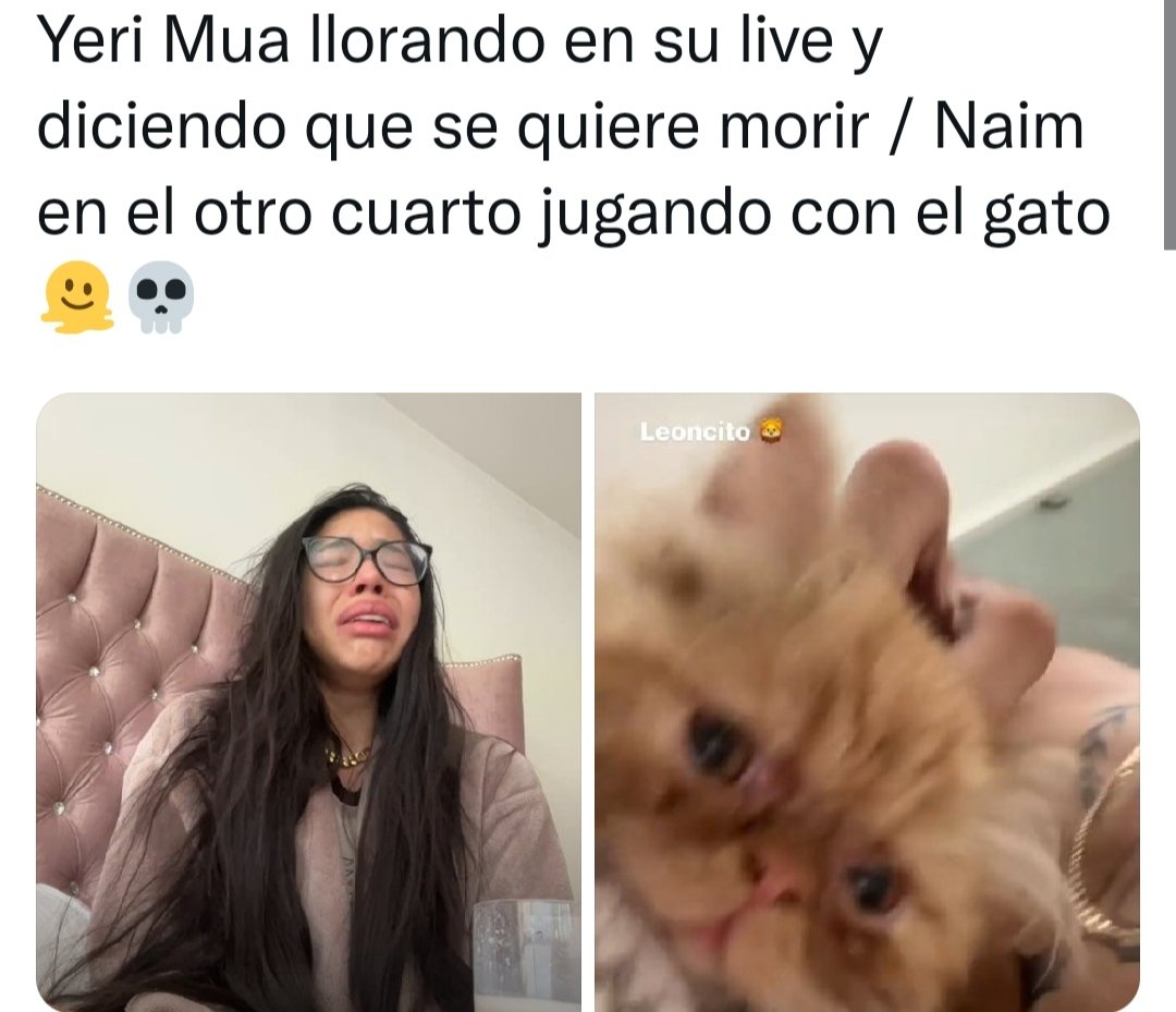 krissBarragan's tweet photo. @yerimua Mientras que estás triste en depre, Naim bien feliz jugando con gin 🤷🏻‍♀️🤷🏻‍♀️ https://t.co/r1UQlryAMx