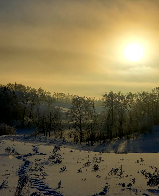 UrbaneForester's tweet photo. @BraydenCreation Late afternoon sun on the farm. https://t.co/J25YtDtEaj