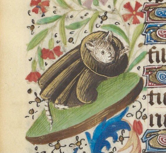 WeirdMedieval's tweet photo. cat wearing monk’s robes, france, 15th century https://t.co/dDTMdkfiel