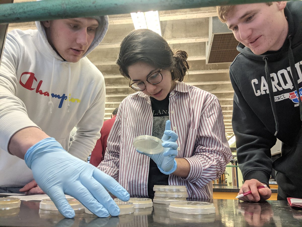 Loras College Chemistry tweet media