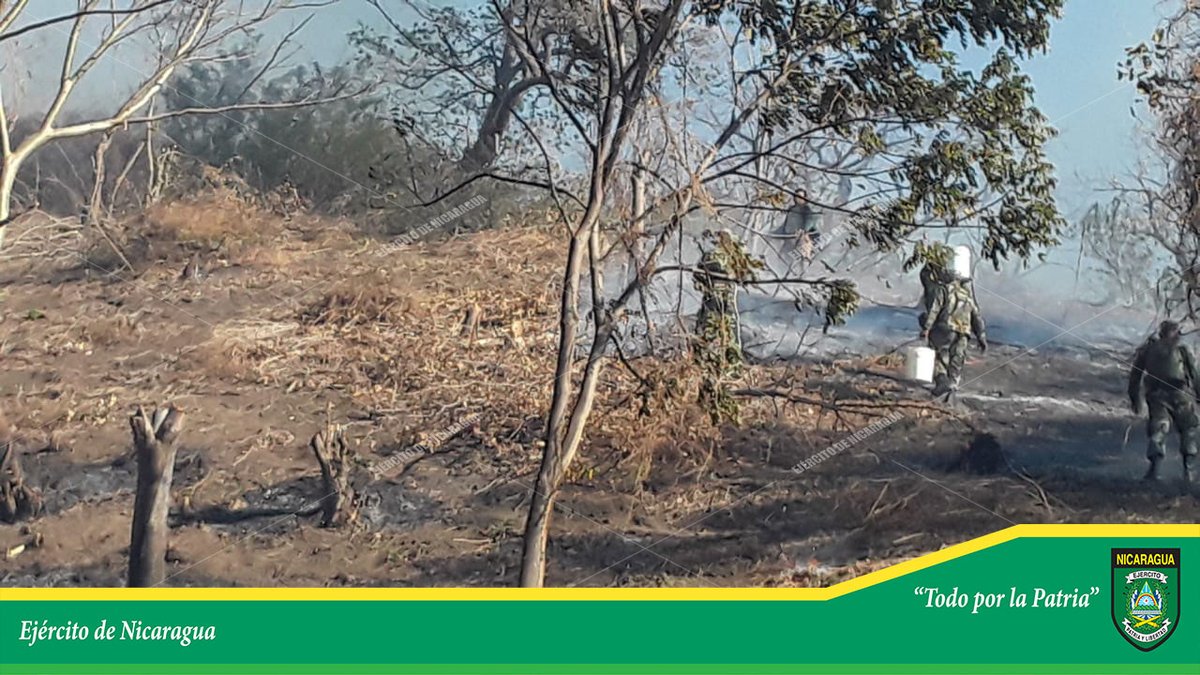 EjercitoNic's tweet photo. #NOTAINFORMATIVA | A través de la #EscuelaNacionalDeSargentos, en coordinación con el Cuerpo de Bomberos y la brigada contraincendios de la alcaldía de #Mateare, participaron en sofocación de incendio forestal en la península de #Chiltepe. #TodoPorLaPatria https://t.co/y5dHOV36Cv