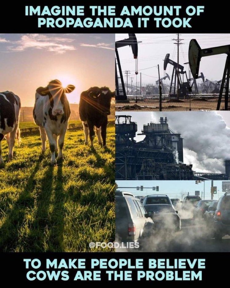 JamesMelville's tweet photo. #NoFarmersNoFood 
#NoFarmsNoFood https://t.co/JQ7n8Ncpmi