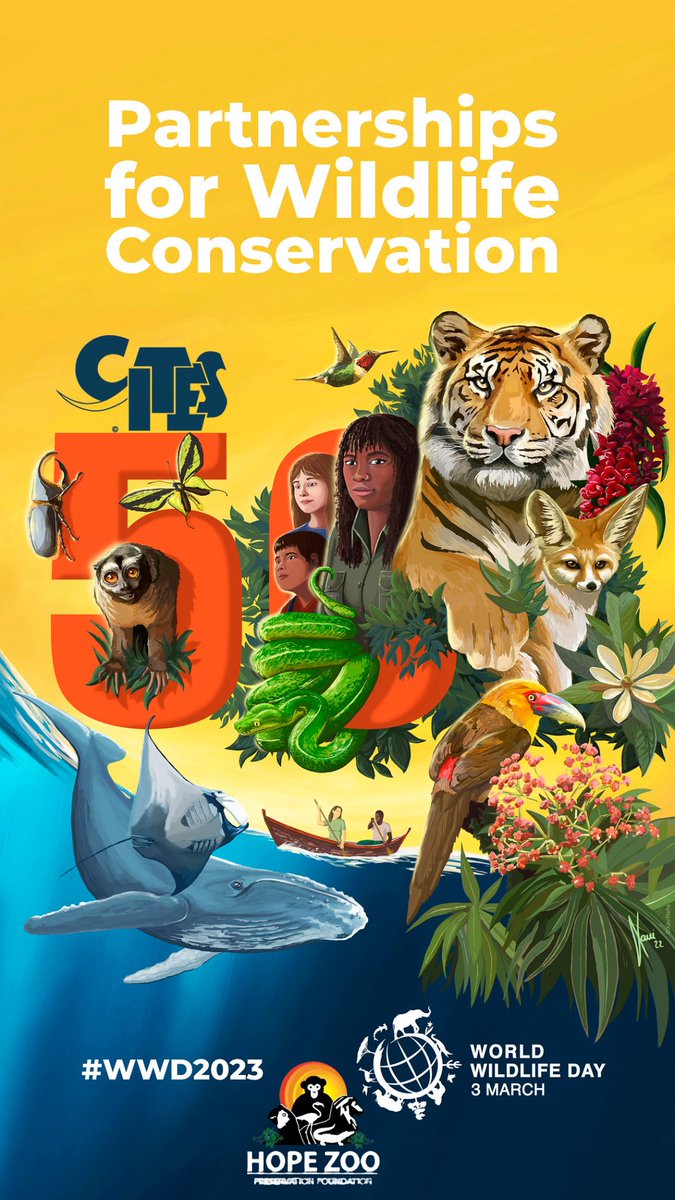 HopeZooKingston's tweet photo. Schools are invited to the zoo for FREE: Join us on March 3rd for World Wildlife day. Activities includes
Local wildlife conservation
Native/endemic species
Please register by clicking the link below. Adm:FREE
#hopezoo
https://t.co/dn43VgfF2n https://t.co/wfmcKwQOEH