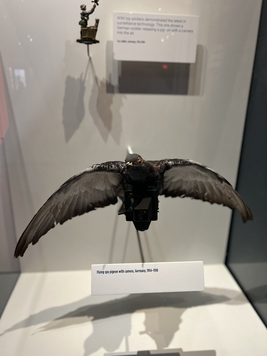 Chelsie Grant tweet media