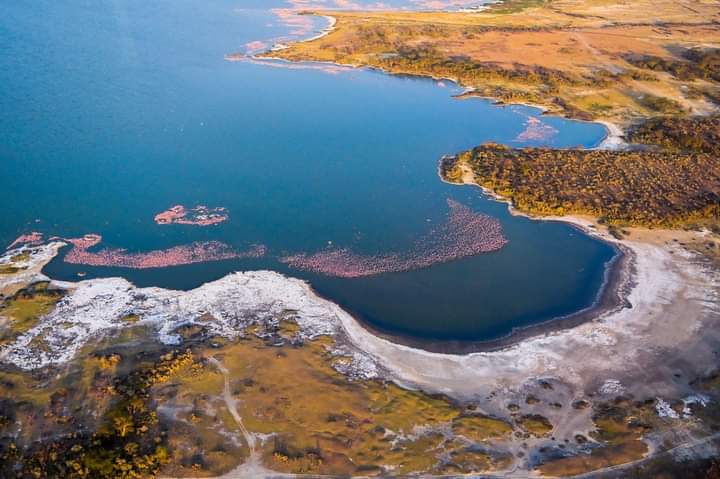 Aerial views of L. Elmenteita. Very proud to see the natural balance returning. Thank you @kwskenya for your responsiveness.
#kws 
#tembeakenya