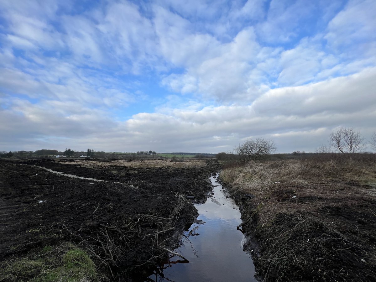 SimonGray14's tweet photo. Gutted to see an amazing scrubby, species rich field on the edge of Moneygal bog SAC has been levelled and drains dug through metres of deep peat! Should this really be allowed next to a designated site in this day &amp; age? ⁦@daera_ni⁩ #moneygal https://t.co/vT0r2Dr3U3