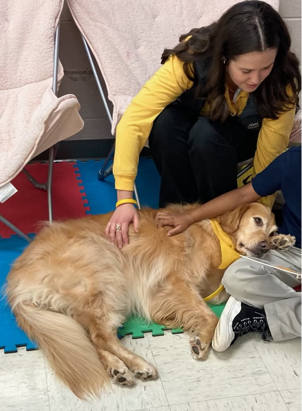 HandinPawAL's tweet photo. Miss Sophie has found her calling - getting read to and petted by her friends at Girls Inc. is PAWsitively wonderFUR β€οΈ
*child's face has been covered for privacy
#handinpaw #sitstayread #hipreads #animalassistedtherapy #therapydog #therapydogsofbham #goldenretriever https://t.co/gCQtuLxm4g