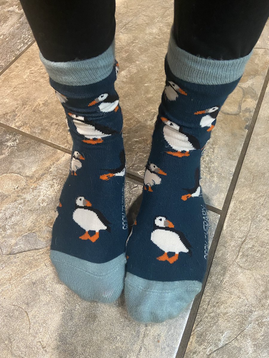 abbieroberts18's tweet photo. @reallorraine How sweet!! And what a coincidence I wore my puffin socks to work today!! https://t.co/LKvob2ZOxH